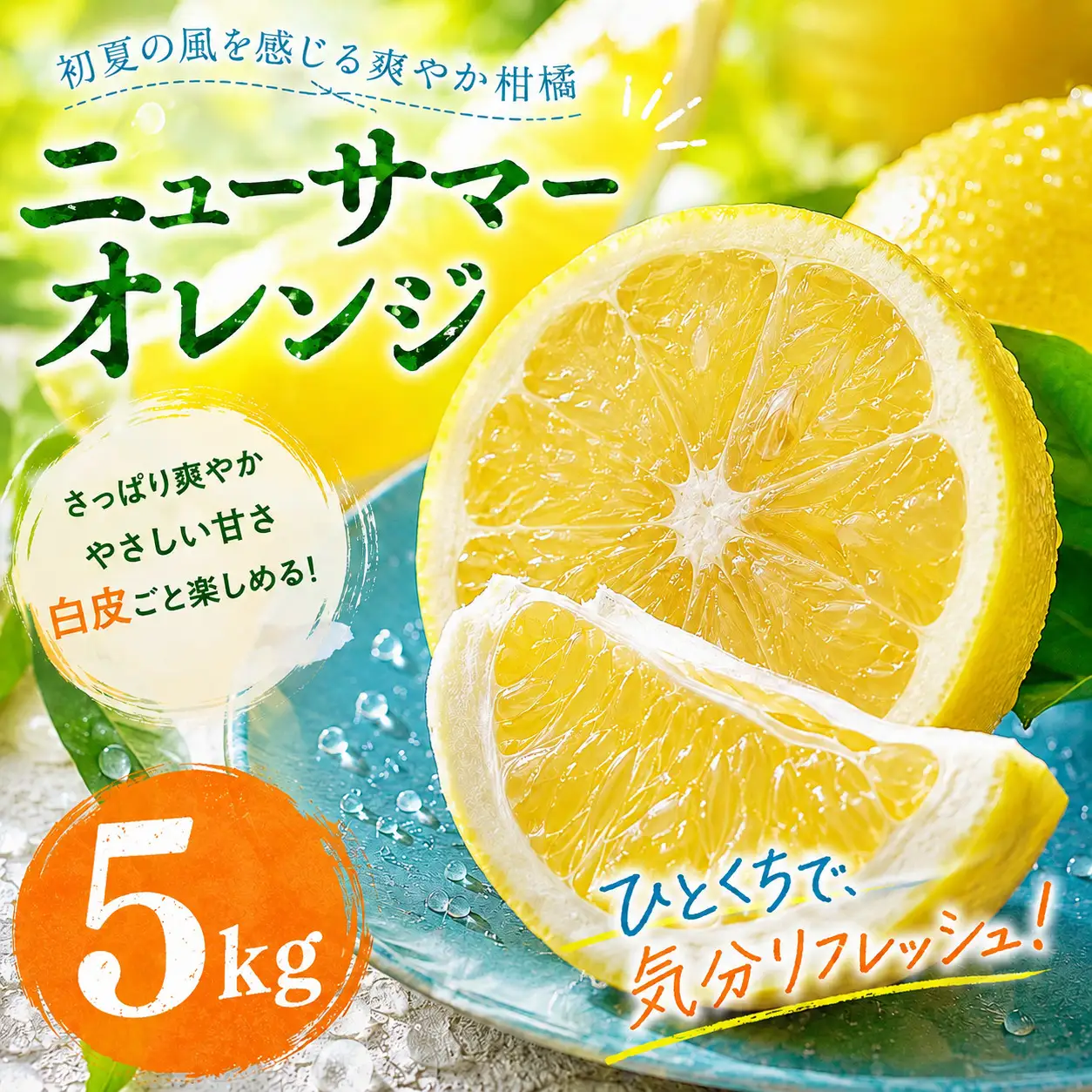 ニューサマーオレンジ 家庭用 5kg 【2027年4月中旬頃から順次発送】 | みかん ミカン mikan 蜜柑 訳ありフルーツ 柑橘 果物 おすすめ お勧め お取り寄せ ギフト 愛媛県 松山市 【MKN023】