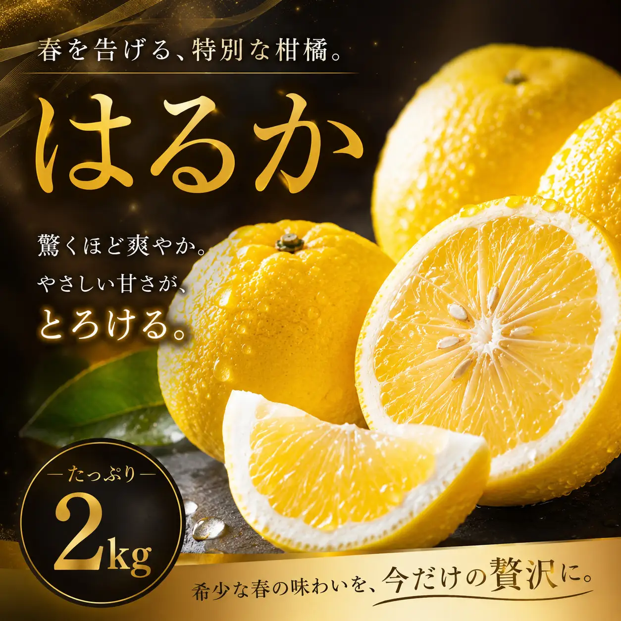 はるか 家庭用 2kg 【2027年2月上旬頃から順次発送】 | みかん ミカン mikan 蜜柑 訳ありフルーツ 柑橘 果物 おすすめ お勧め お取り寄せ ギフト 愛媛県 松山市 【MKN025】