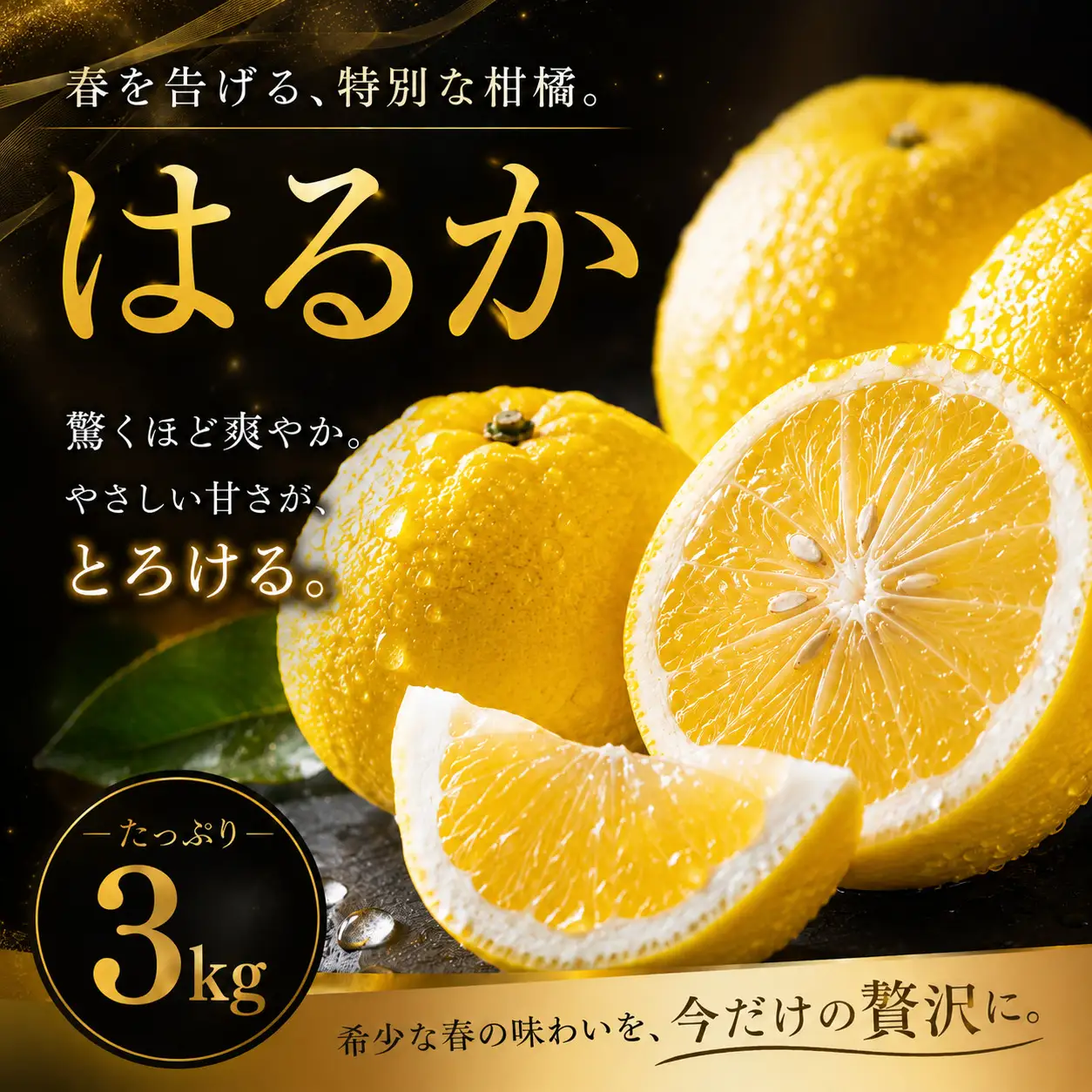  はるか 家庭用 3kg 【2027年2月上旬頃から順次発送】 | みかん ミカン mikan 蜜柑 訳ありフルーツ 柑橘 果物 おすすめ お勧め お取り寄せ ギフト 愛媛県 松山市 【MKN026】