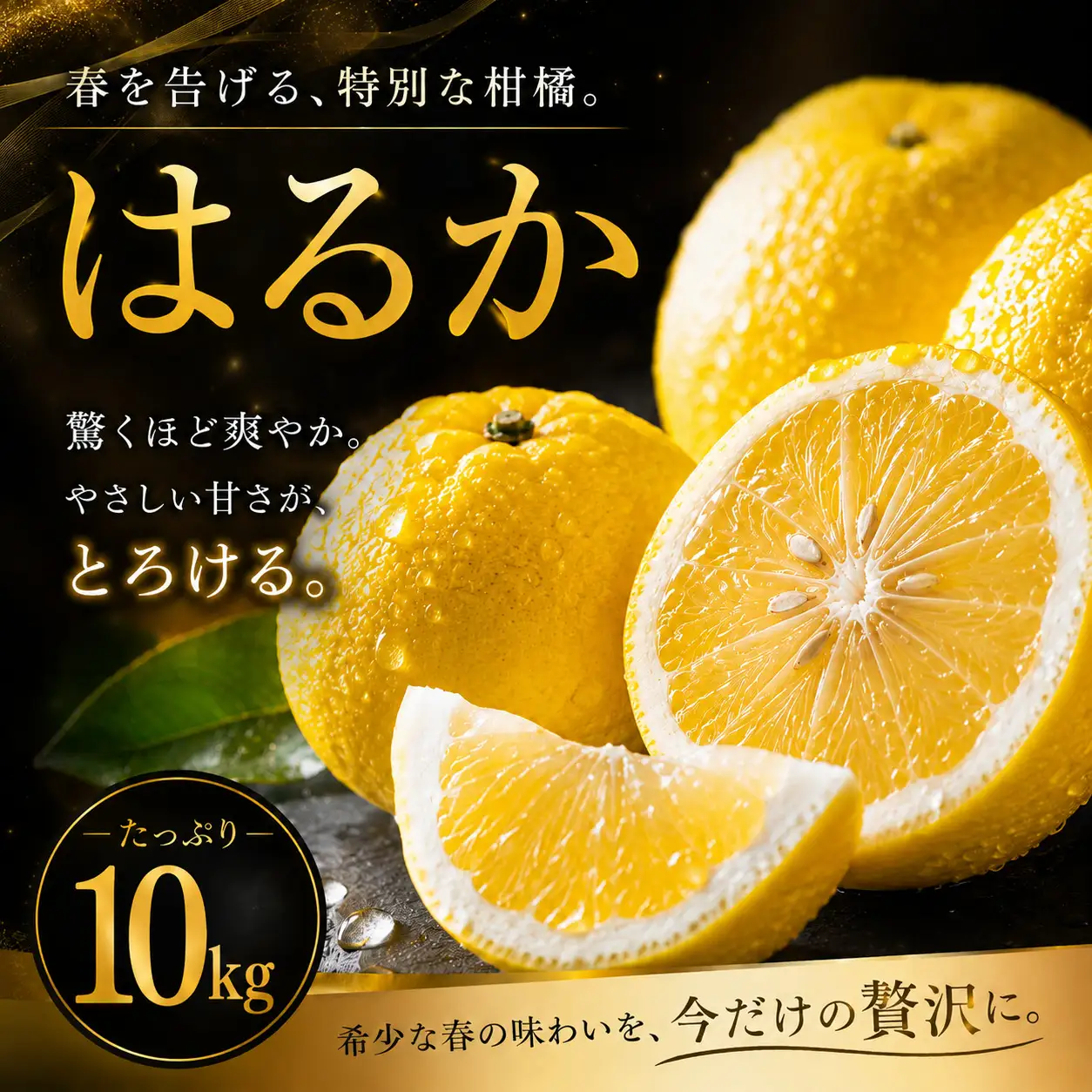  はるか 家庭用 10kg 【2027年2月上旬頃から順次発送】 | みかん ミカン mikan 蜜柑 訳ありフルーツ 柑橘 果物 おすすめ お勧め お取り寄せ ギフト 愛媛県 松山市 【MKN028】