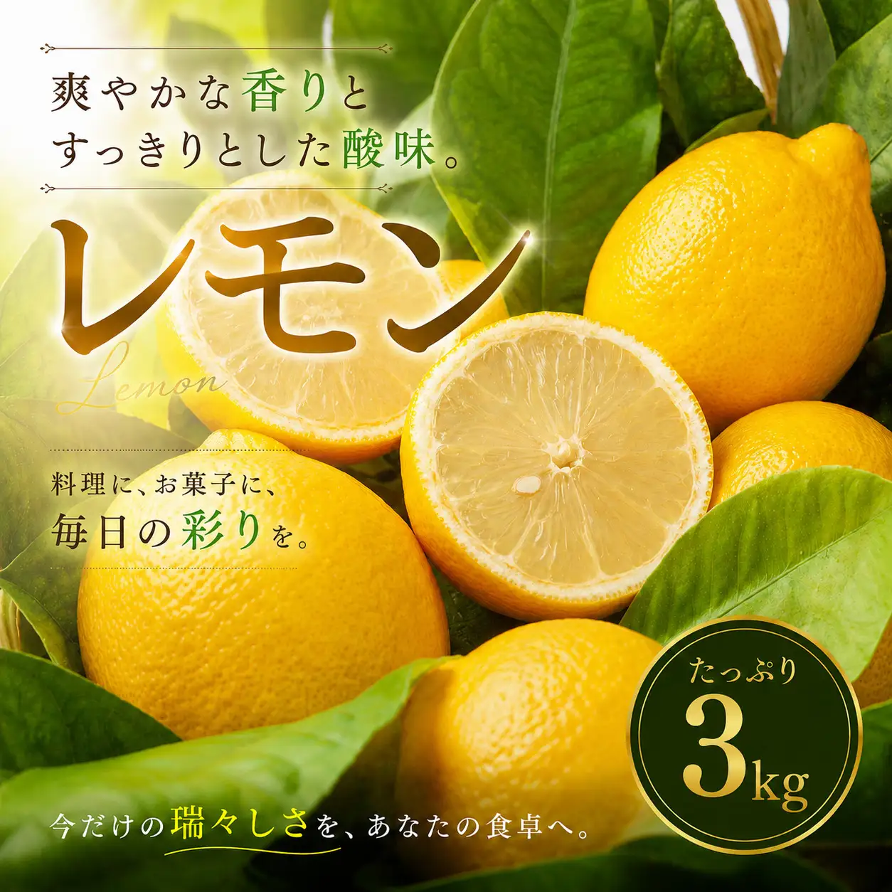 イエロー レモン 家庭用 3kg 【2027年1月中旬頃から順次発送】 | れもん レモン lemon 檸檬 訳あり フルーツ 柑橘 果物 おすすめ お勧め お取り寄せ ギフト 愛媛県 松山市 【MKN051】