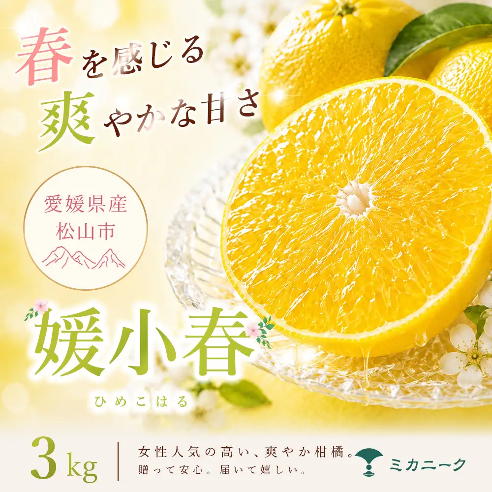 媛小春 家庭用 3kg 【2027年1月下旬頃から順次発送】 | みかん ミカン mikan 蜜柑 訳ありフルーツ 柑橘 果物 おすすめ お勧め お取り寄せ ギフト 愛媛県 松山市 【MKN081】