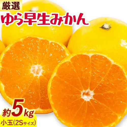 みかん ゆら早生みかん 厳選 小玉 2Sサイズ 5kg GOGO農園《10月上旬-11月末頃出荷》