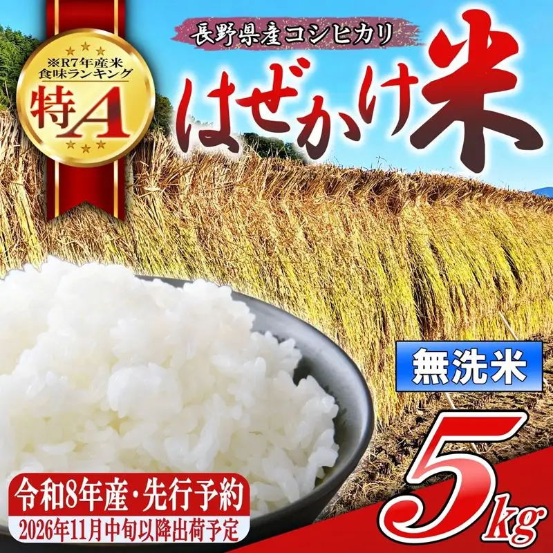 【令和8年産・無洗米５kg】長野県産こしひかり はぜかけ米（北海道・沖縄県・離島は配送不可）   【先行予約・2026年11月下旬以降発送】　精米 2026年産 産地直送 信州 長野県 佐久市 美味しい うるち米 先行予約