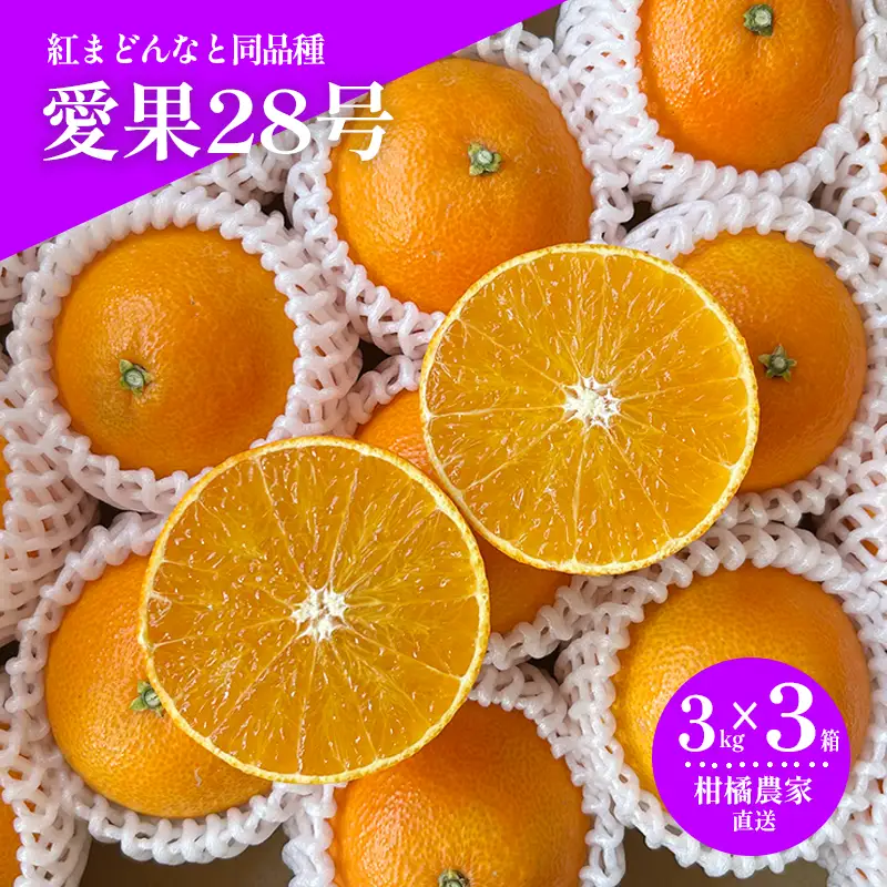 【2026年11月下旬から発送予定】 数量限定 愛果28号（紅まどんなと同品種） 約3kg×3箱 みかん 紅まどんなと同品種 果物 紅まどんなと同品種 フルーツ 紅まどんなと同品種 愛媛県【HMN018】