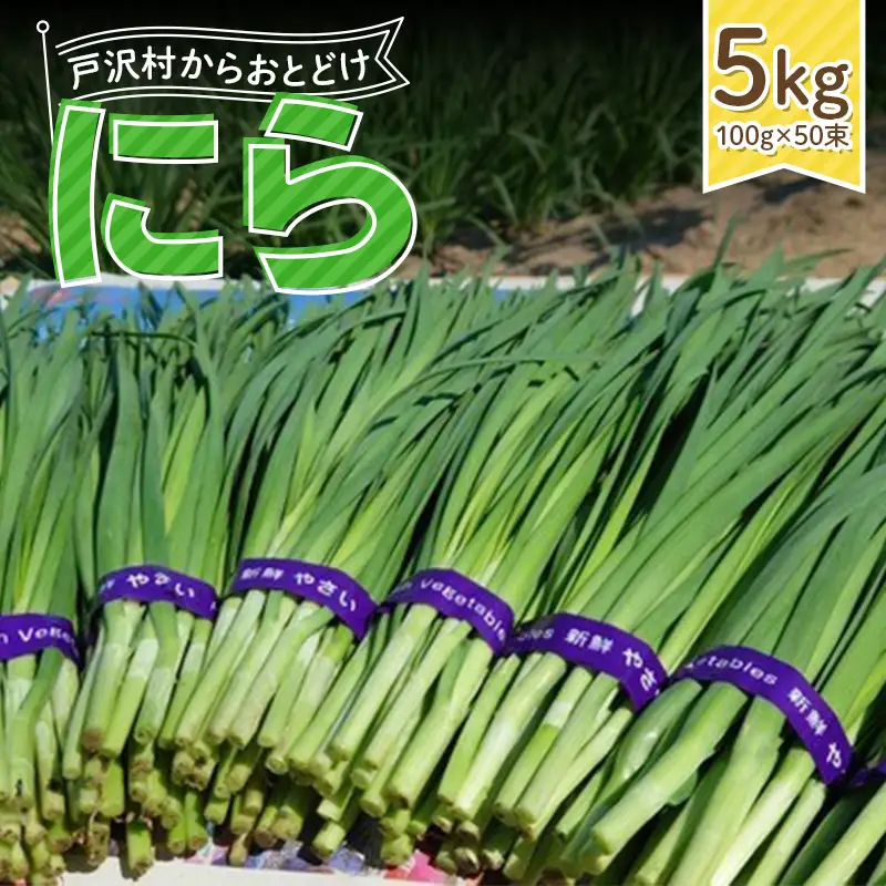 山形県 戸沢村産 にら 5kg(50束) 2026年5月下旬から順次発送 国産 野菜 やさい 韮 ニラ 料理 餃子 炒め物 惣菜 自宅 家庭 F7W-0340