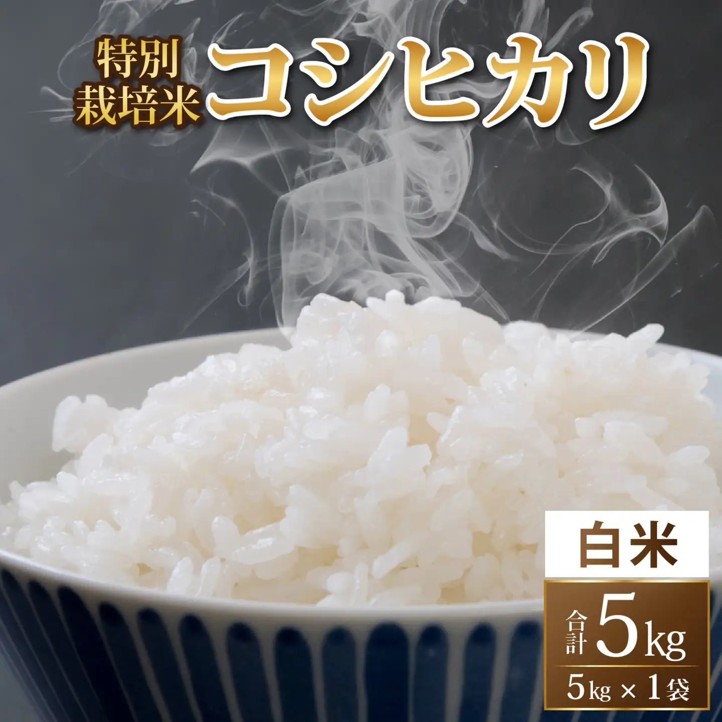 コシヒカリ 5kg 令和8年産 コシヒカリ 特別栽培米 福井県 精米 A-033103