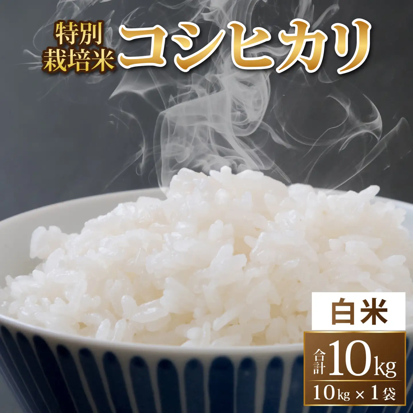 コシヒカリ 10kg 特別栽培米 令和8年産 コシヒカリ福井県 精米 C-033104