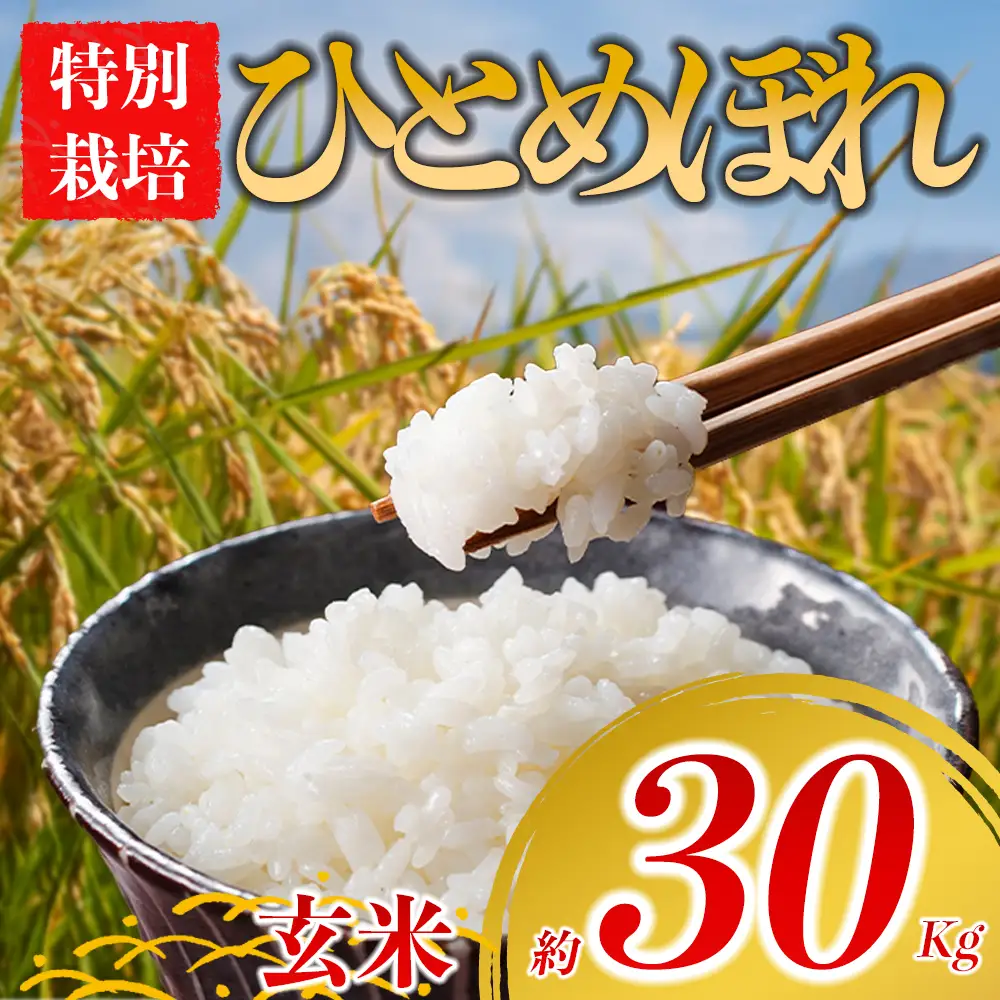 特別栽培米 ひとめぼれ 約30kg×1（玄米）阿蘇アグロスタイル  米 ごはん 人気 美味しい 甘味 もちもち なめらか 減農薬 湧水 熊本県 阿蘇市