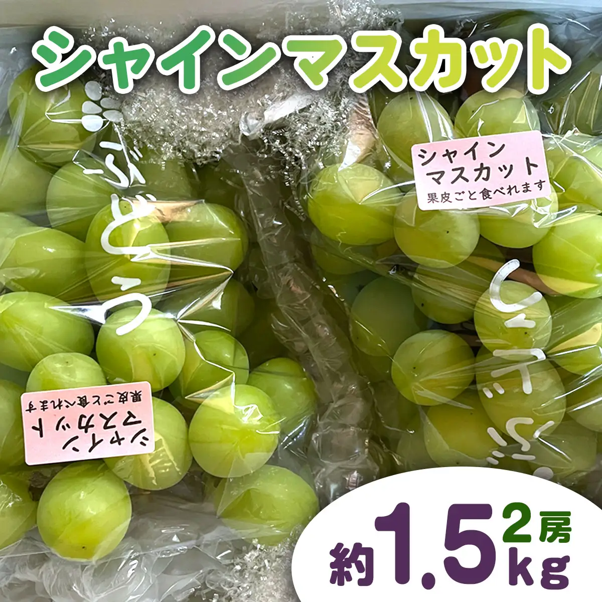 シャインマスカット約1.5kg(2房) [0668]