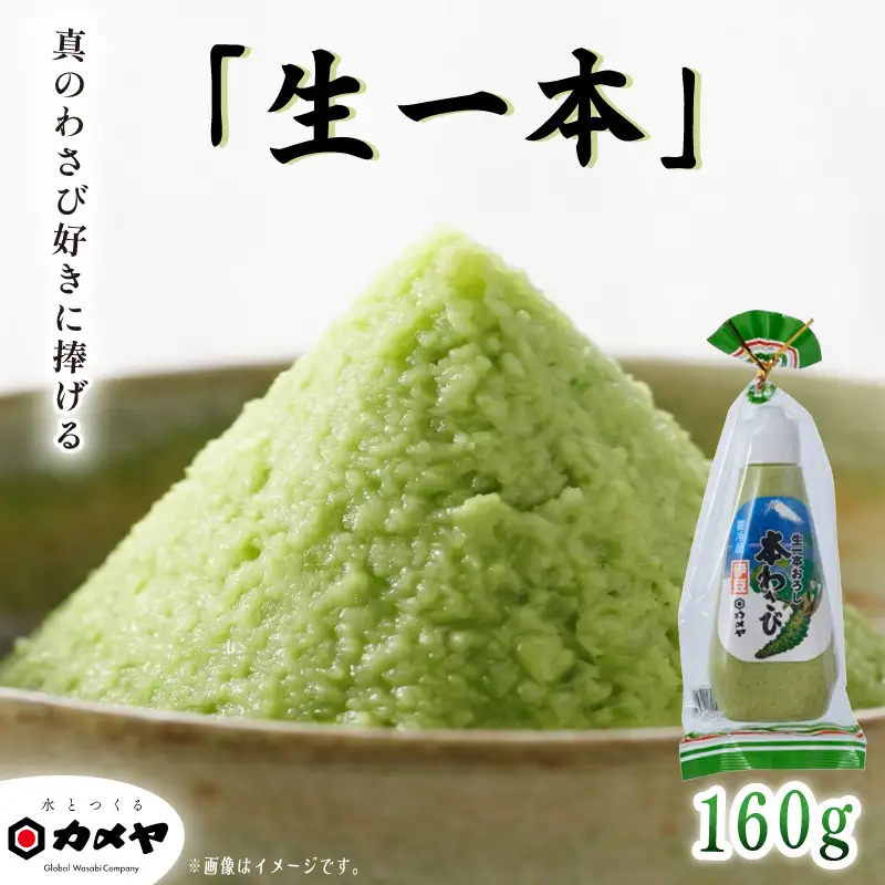 生一本おろし本わさび 160g 山葵 ワサビ