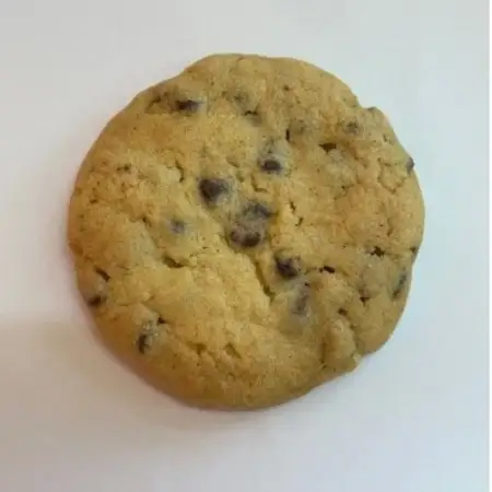 チョコチップ クッキー10個セット 焼き菓子を京都府与謝野町よりお届け【1738776】