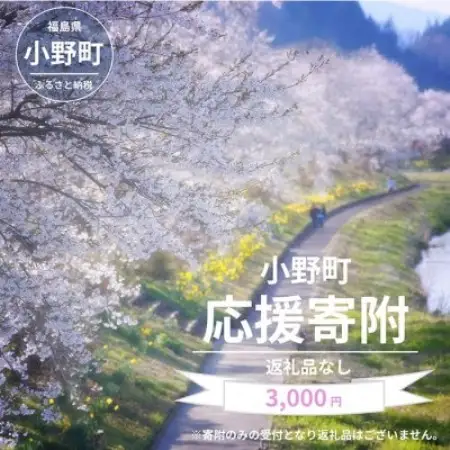 【返礼品なし】福島県小野町応援寄附 3,000円