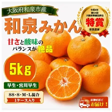 先行予約　大阪府和泉市産 宮川早生 和泉みかん 1ケース5Kg 11月中頃より発送【1672205】