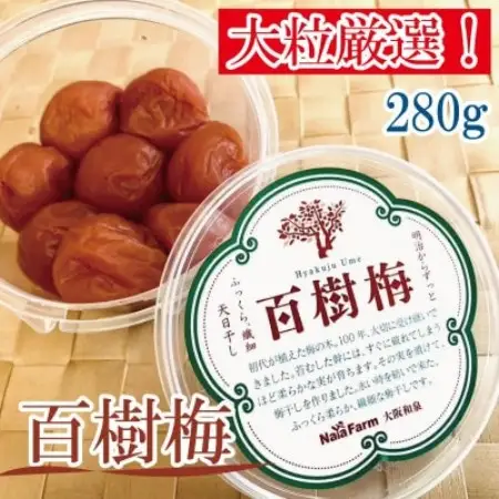 【希少な大玉】和泉市産 百樹梅280g×4パック　大粒厳選 豊かな香りと肉厚な果肉[なやファーム]【1741263】