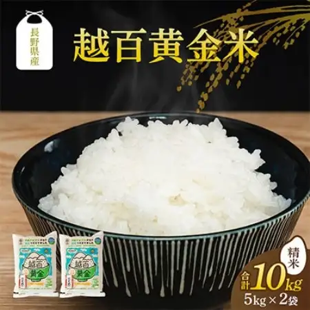 長野県産 越百黄金米(精米)5kg×2袋【1737901】