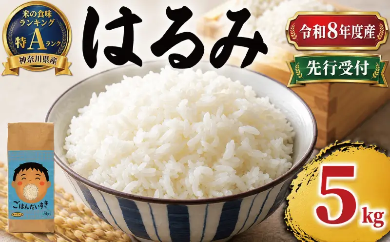 お米 特A ランク 令和8年度産 ｜ はるみ 5kg お米