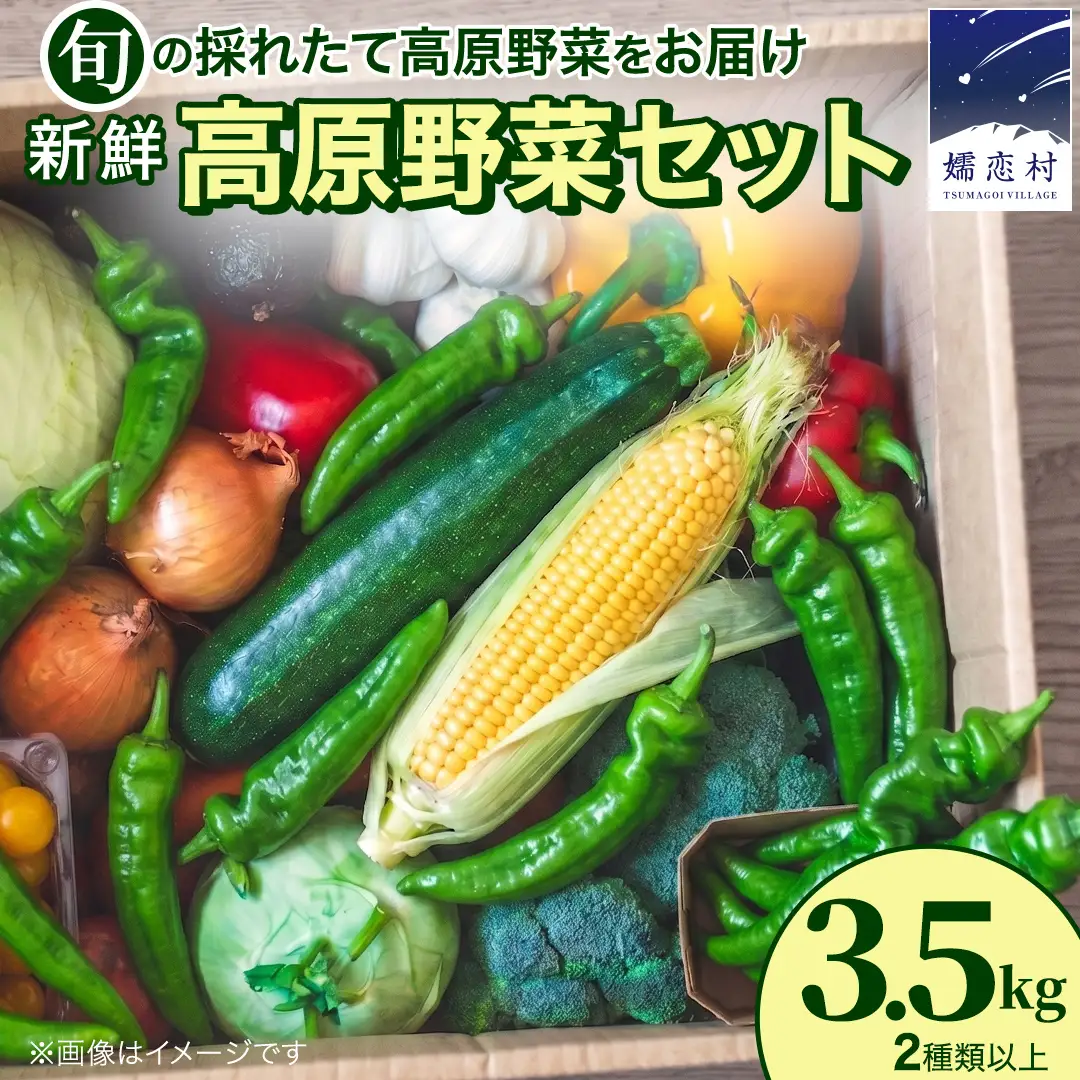 【7月中旬発送開始】旬の採れたて 新鮮 高原野菜 セット 3.5kg 2種以上 [BT001tu]