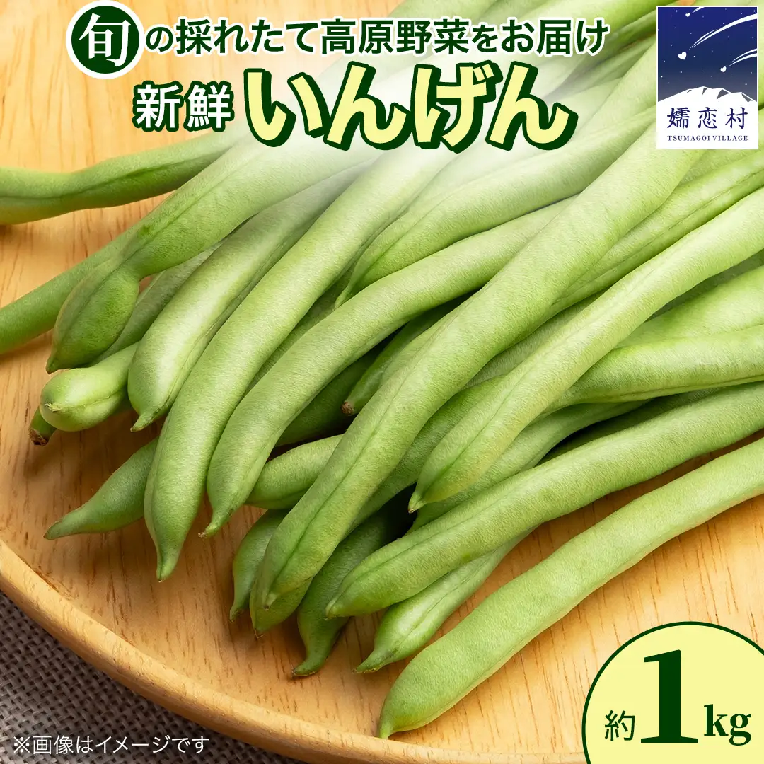 【7月上旬発送開始】旬の採れたて 新鮮 いんげん 約1kg [BT004tu]