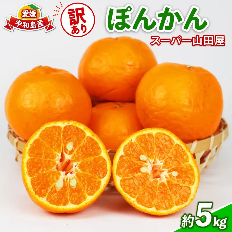 みかん 訳あり ポンカン 約 5kg スーパー山田屋 先行予約 ぽんかん 甘い 果物 くだもの フルーツ 柑橘 mikan 蜜柑 愛媛蜜柑 愛媛みかん わけあり サイズ 不揃い 産地直送 数量限定 国産 愛媛 宇和島 B010-198003