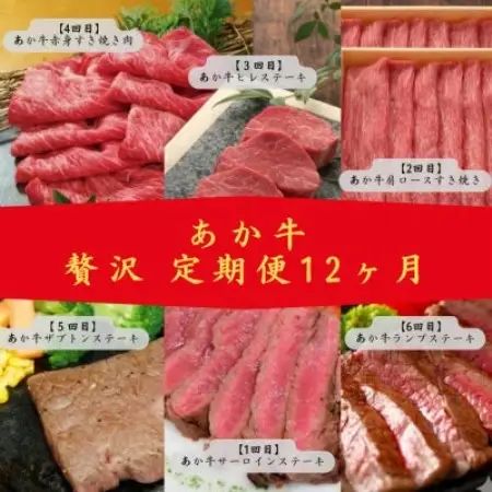 【毎月定期便】あか牛　贅沢　定期便　(益城町)全12回【配送不可地域：離島】【4087648】
