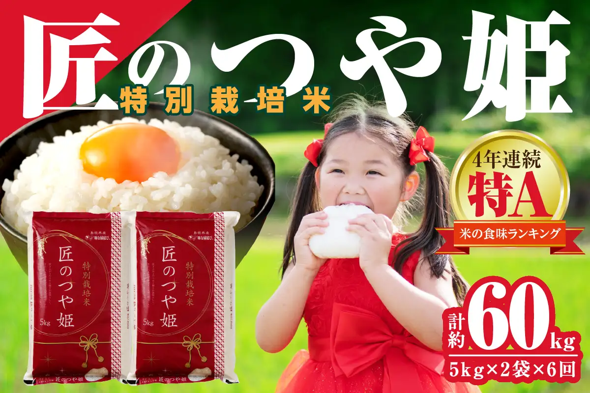 【令和７年産】【定期便】特別栽培米「匠のつや姫」（10kg×6回コース） 【058_1858】