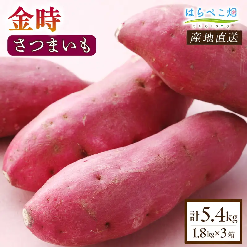 【ホックホク食感の優しい甘み】さつまいも金時 1.8kg 3箱・H116
