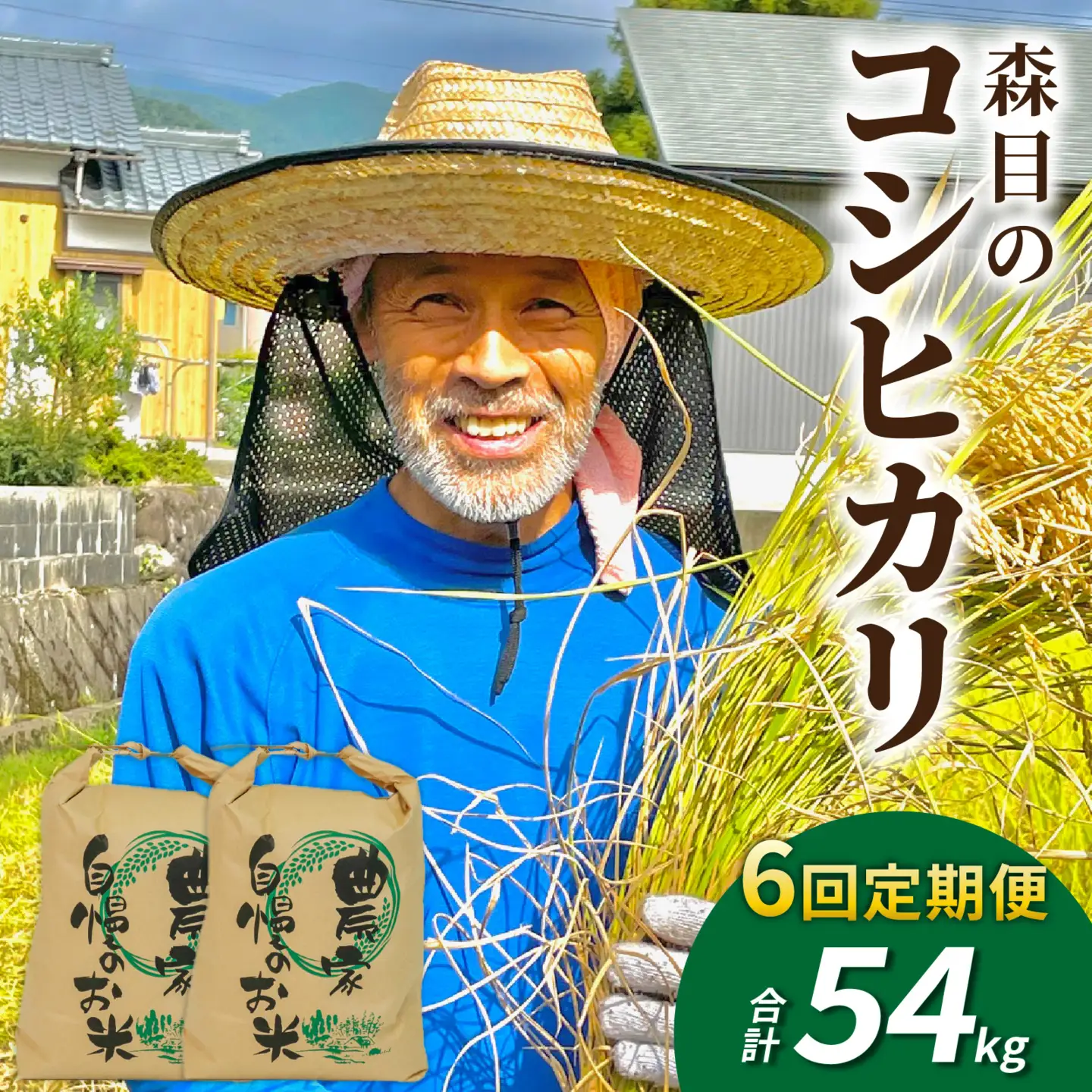 【令和8年産】新米 定期便 9kg×6回 森目のコシヒカリ 新米 K-008005