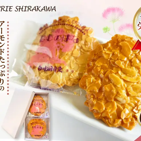サクサク香ばしい洋風せんべい アーモンドたっぷり「ねむのはな」60枚入 [パティスリー白川] 象潟銘菓【 洋菓子 お菓子 菓子 スイーツ クッキー せんべい 煎餅 ナッツ バター 個包装 大容量 お配り まとめ買い 象潟 秋田 にかほ 】