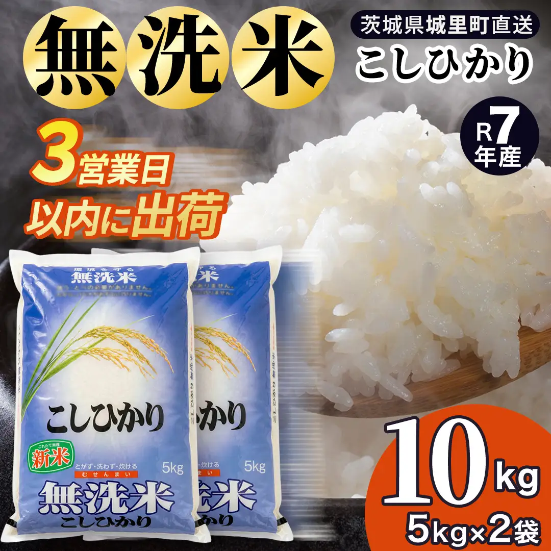 コシヒカリ 無洗米 10kg 令和7年産 スピード出荷 最短3〜7営業日出荷 (AX078)