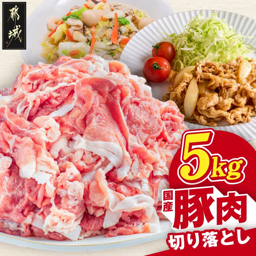 国産豚肉切り落とし5kg(250g×20P)〔MJ-89-008-5kg〕_(都城市) 
