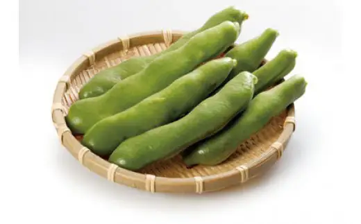 ＜先行予約！2027年5月上旬以降順次発送予定＞そらまめ(約2kg) そら豆 豆 国産 【man071-A】【Aglio nero】
