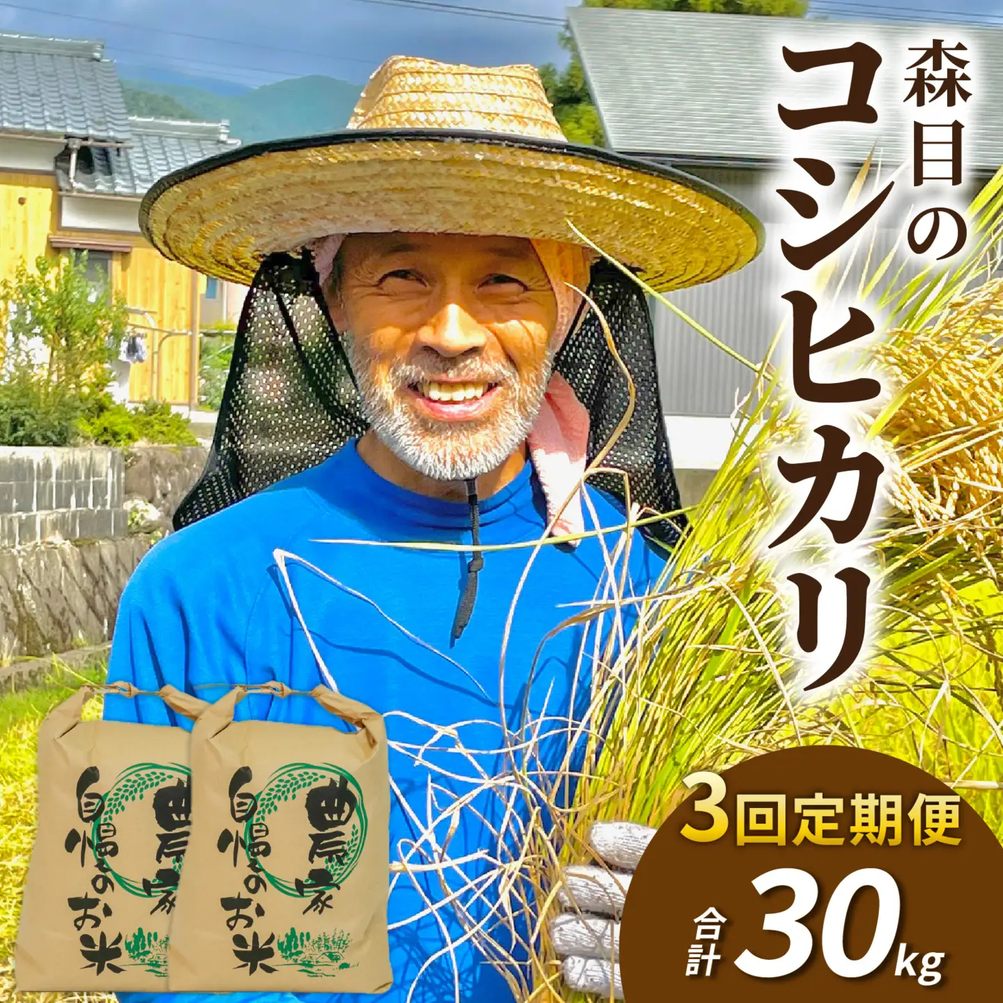 令和8年産 新米 こしひかり 10kg 3回定期便 玄米