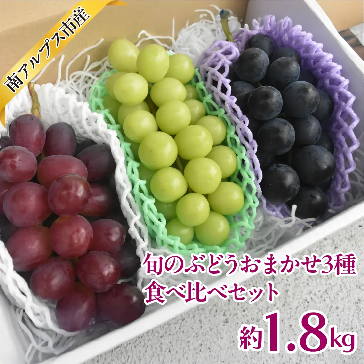 【2026年度先行予約】旬のぶどうおまかせ3種食べ比べセット 1.8kg相当　ALPAJ071