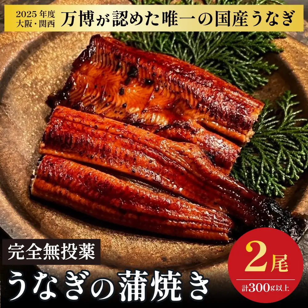 鰻 鰻の蒲焼き2尾セット