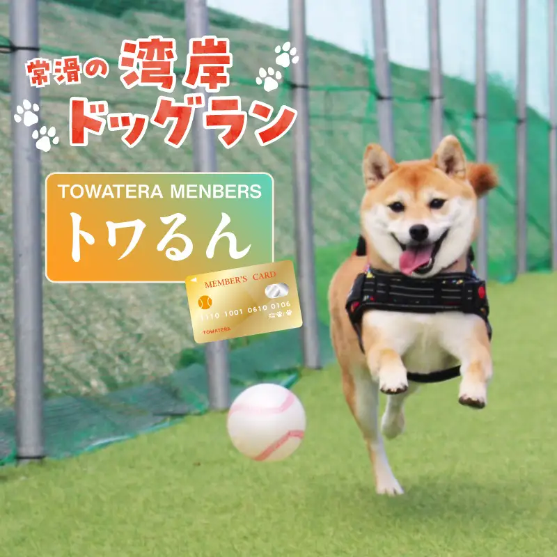 【TOWATERAメンバーズ】ドッグラン、ペットホテルなどをお得に利用できる「トワるん」会員入会| ペット 常滑市