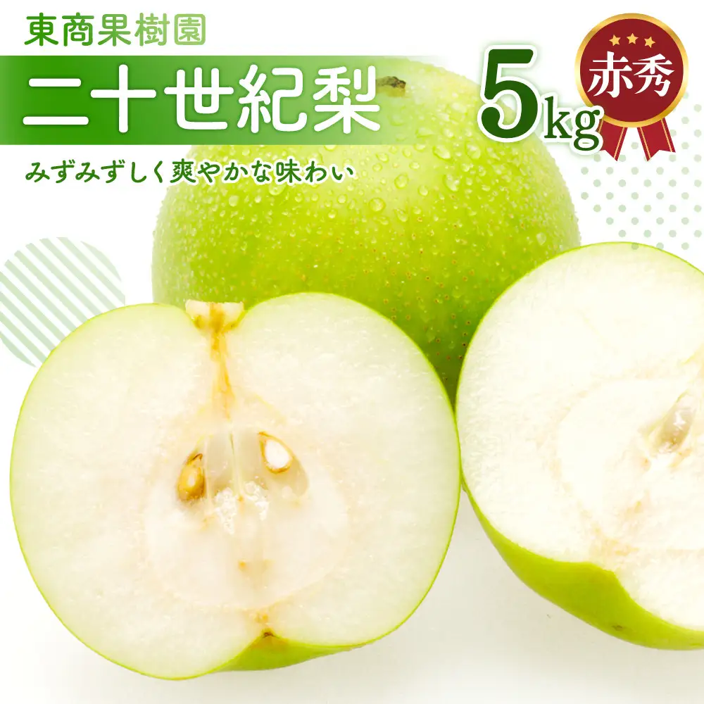 東商果樹園 二十世紀梨 (赤秀) 5kg【8月下旬以降お届け】