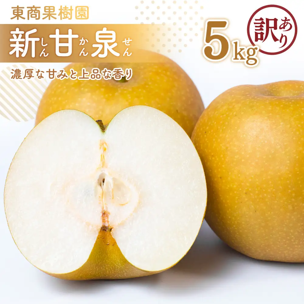 東商果樹園 新甘泉 (訳あり) 5kg【8月下旬以降お届け】