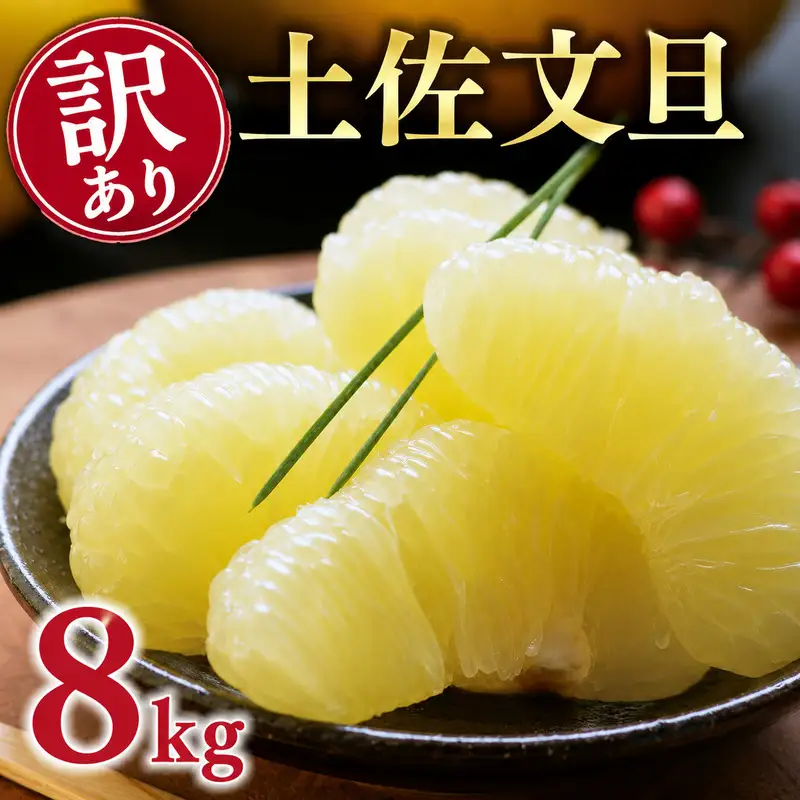 【先行予約：2026年12月中旬～発送】 訳あり 土佐文旦 8kg くらもとファーム 愛媛県 愛南町