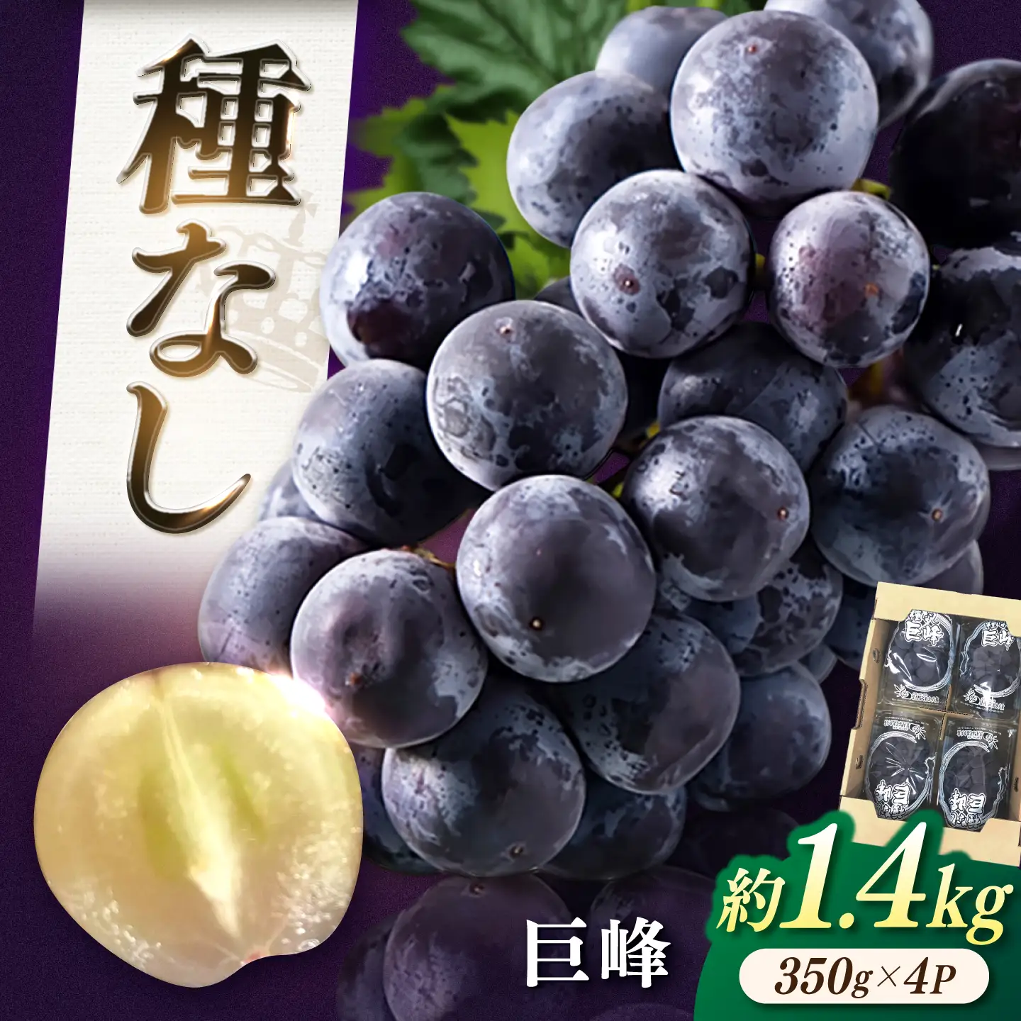 ぶどう 種なし巨峰  約1.4kg 先行予約 2026年7月中旬より発送 [AFAB017] ぶどう