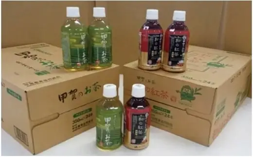 甲賀のお茶ペットボトル（緑茶・紅茶）2ケース (173184-40040217)