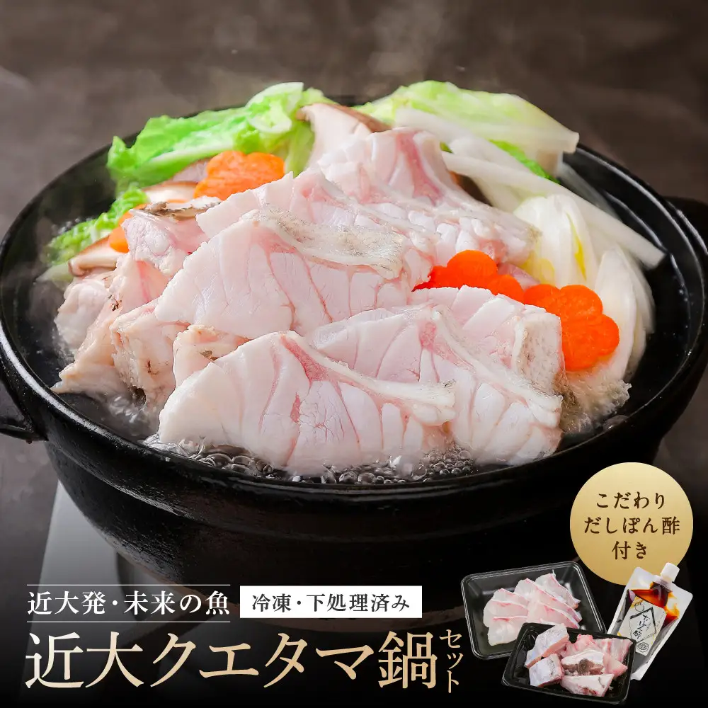 近大クエタマ鍋セット500g（2027年2月上旬～2月中旬発送）