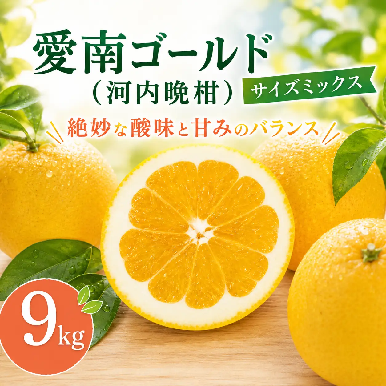 河内晩柑 (愛南ゴールド) 大玉小玉ミックス 9kg 河内晩柑 愛なんよ ainanyo021