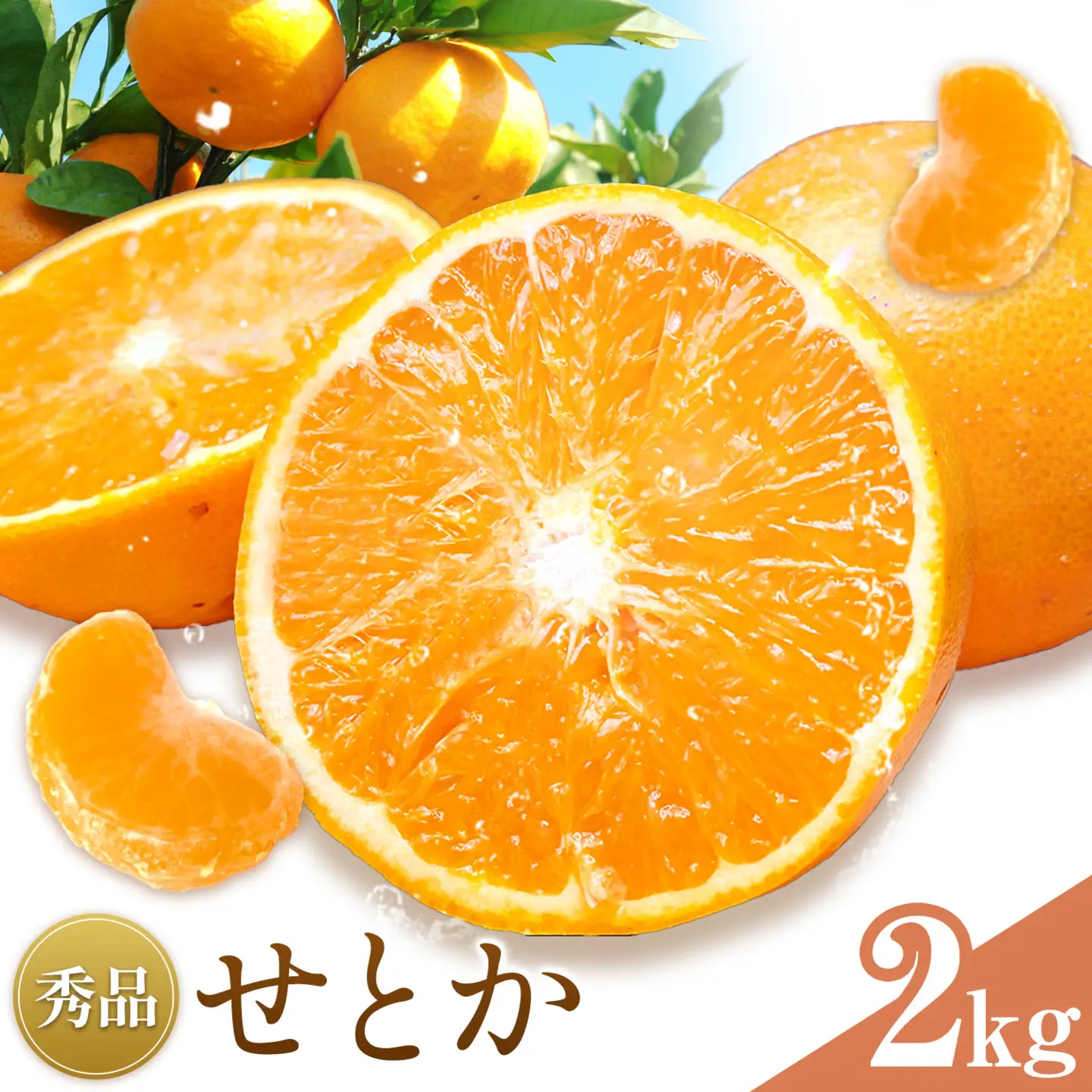 せとか 秀品 2kg