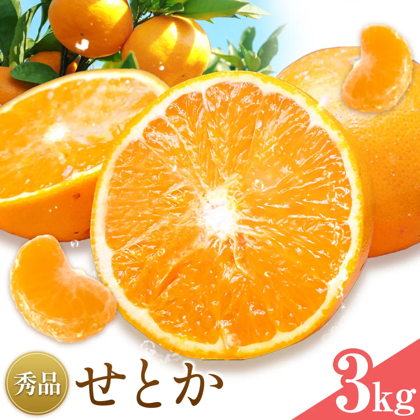 せとか 秀品 3kg