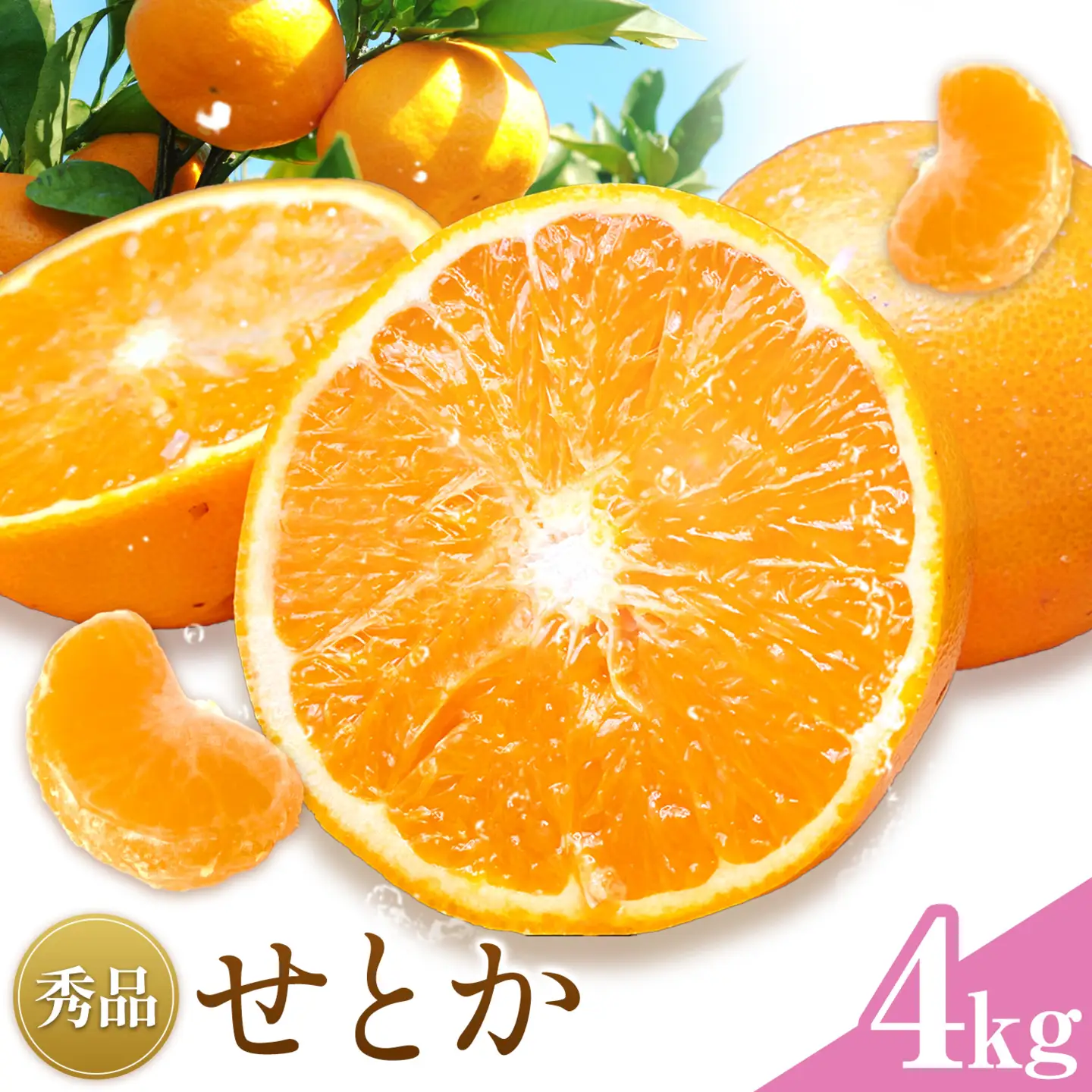 せとか 秀品 4kg