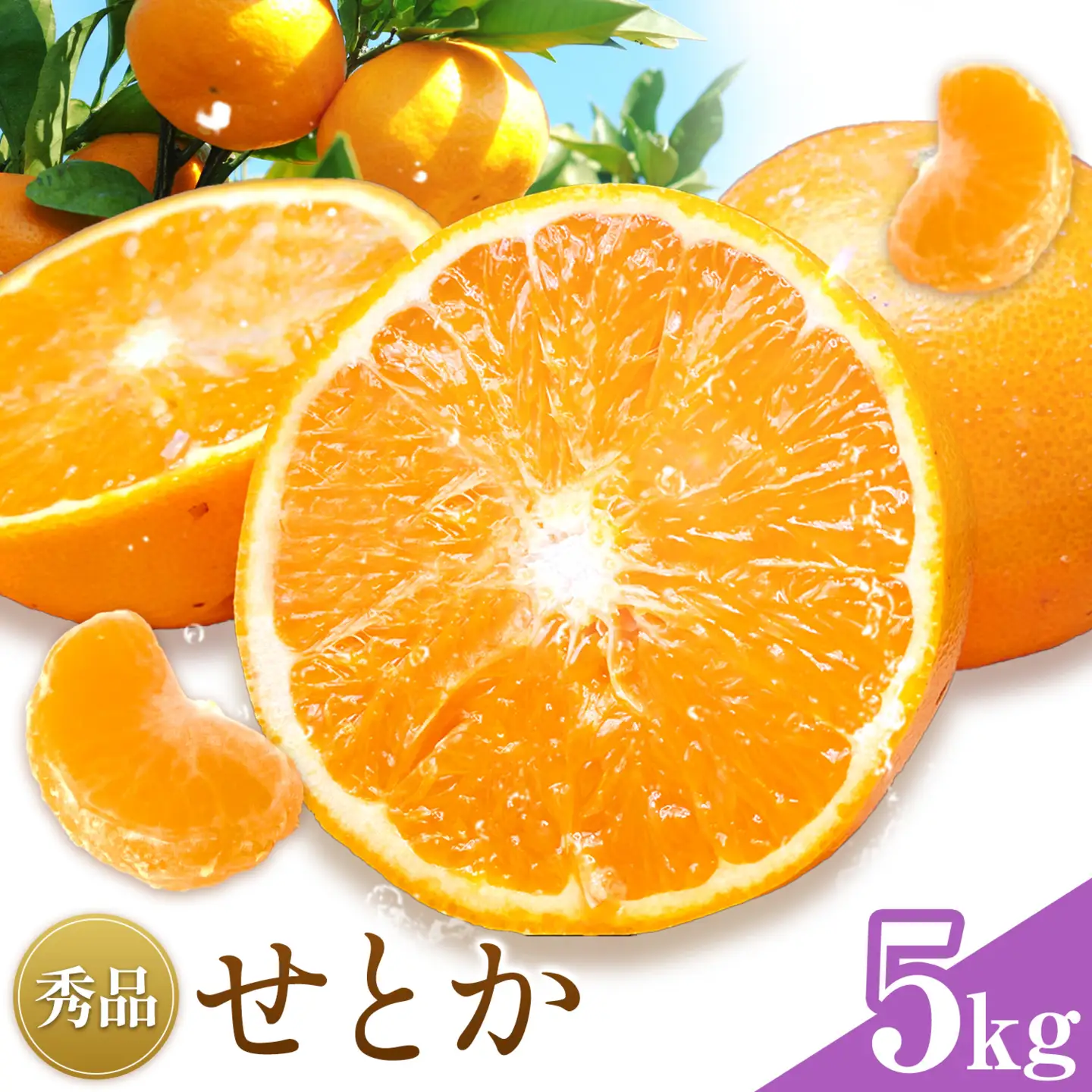 せとか 秀品 5kg