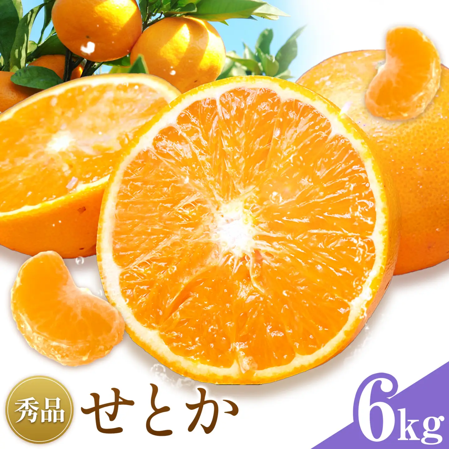 せとか 秀品 6kg