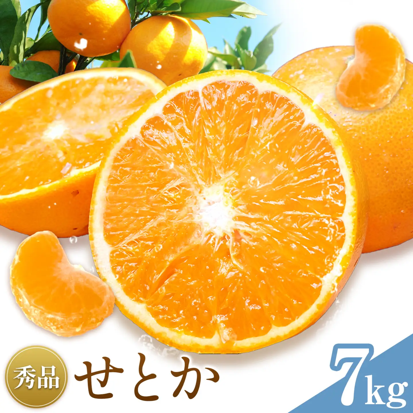 せとか 秀品 7kg