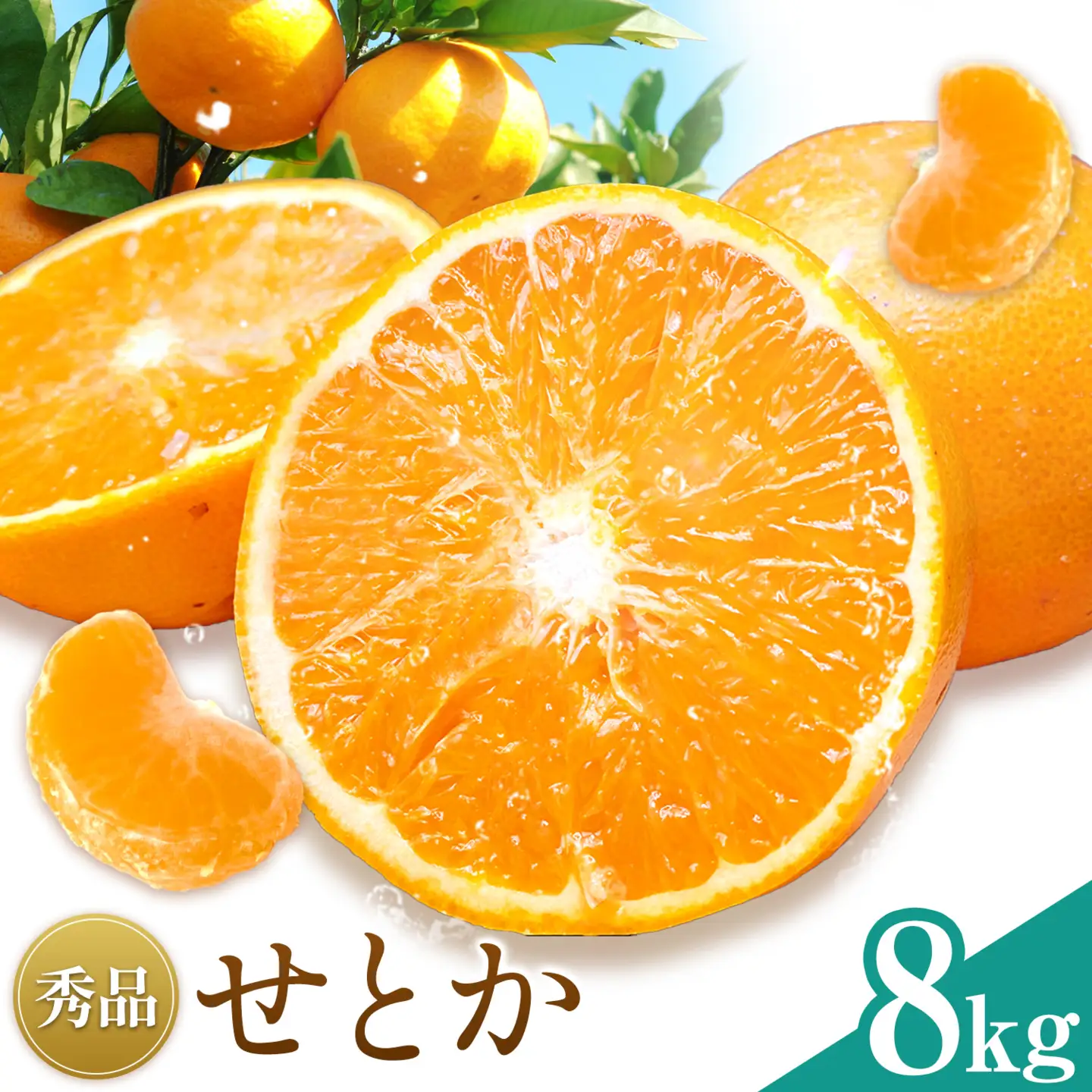 せとか 秀品 8kg